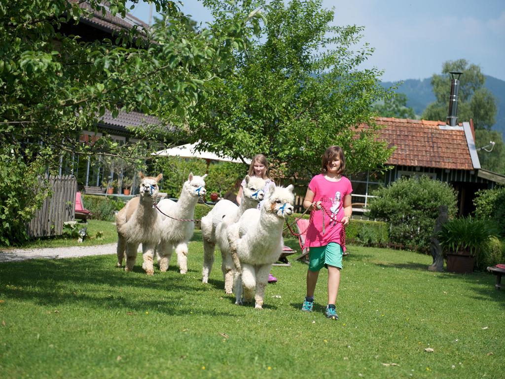 Landhaus Benediktenhof Bad Tolz Bilik gambar